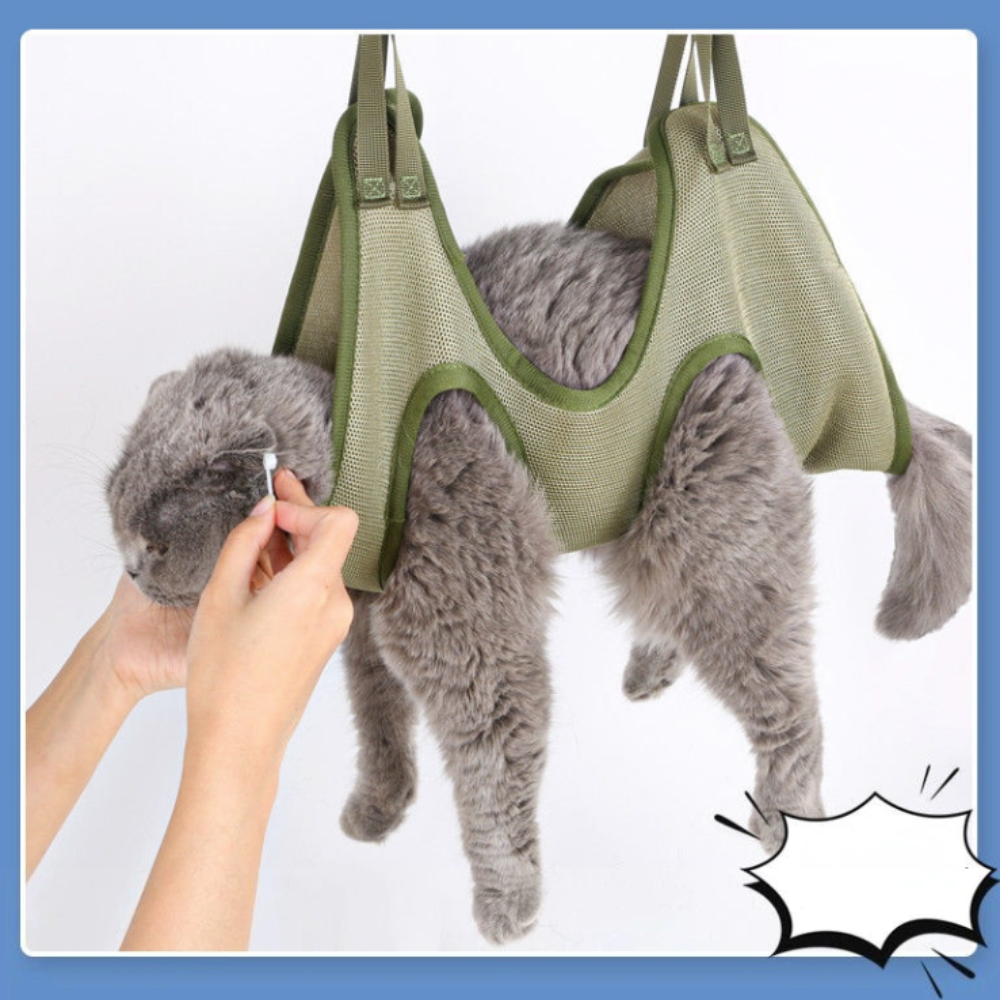 hammock for cats
