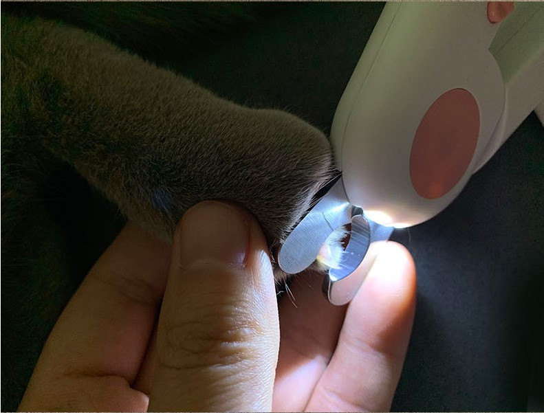cat nail trimmer