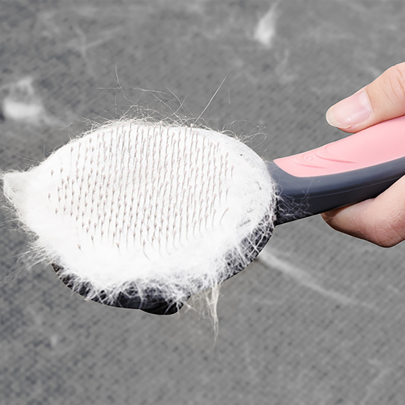 cat brush
