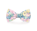 doggie bow tie