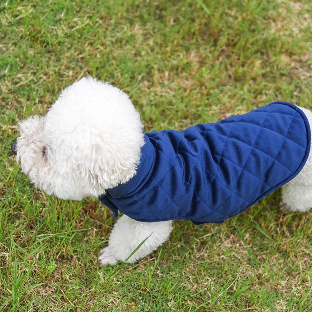 dog winter vest