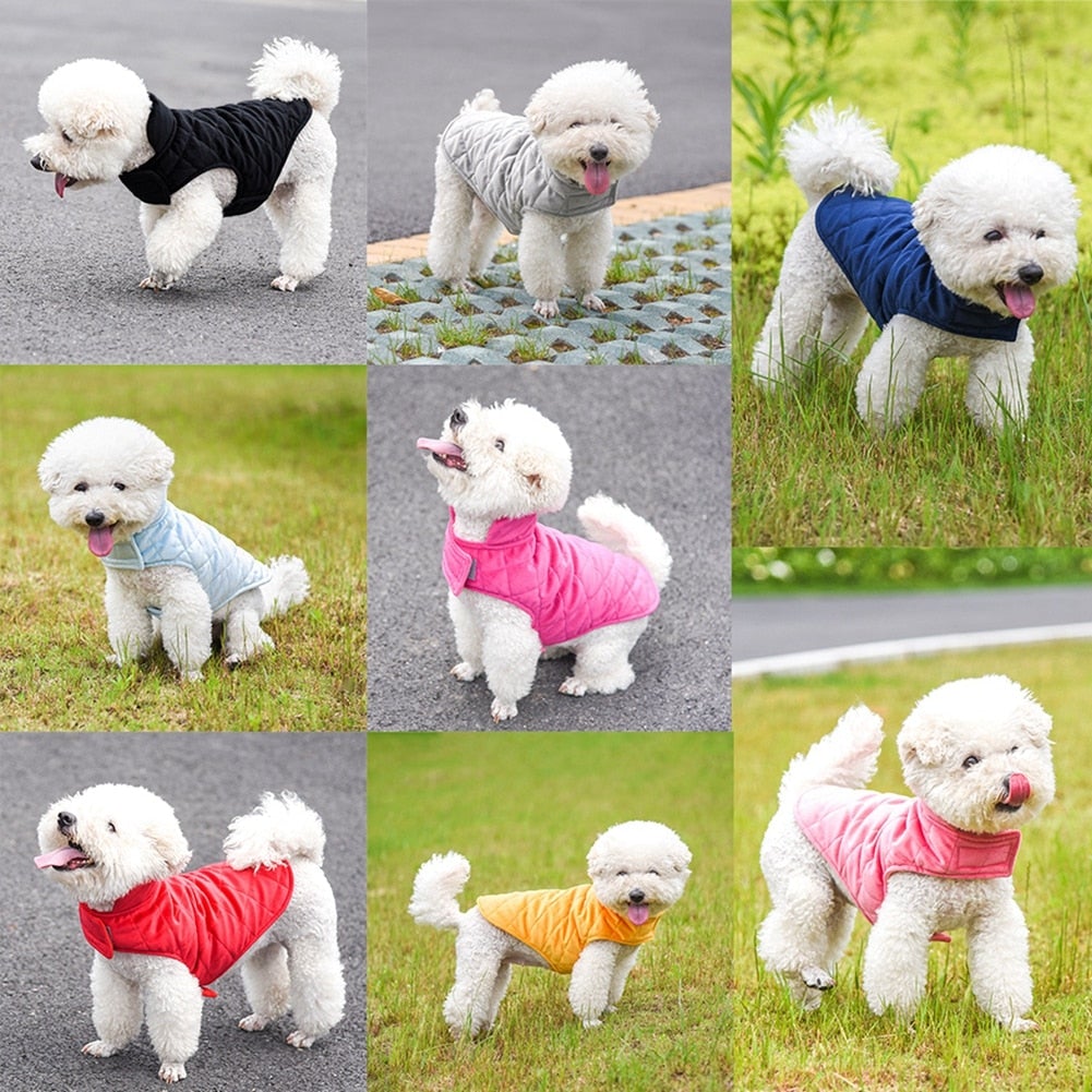 dog winter vest