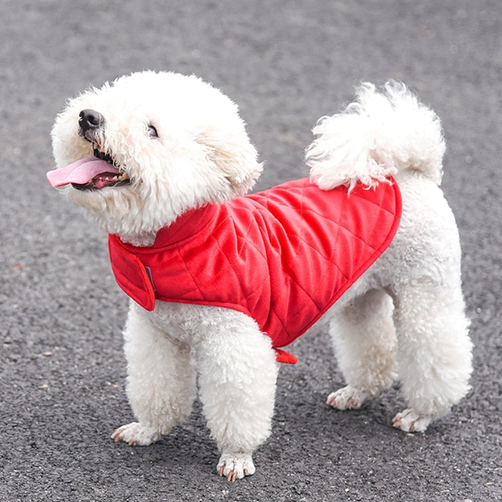 dog winter vest