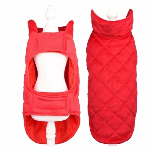 dog winter vest